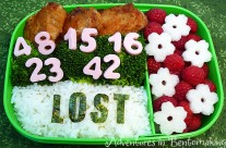 Help! I LOST My Bento!